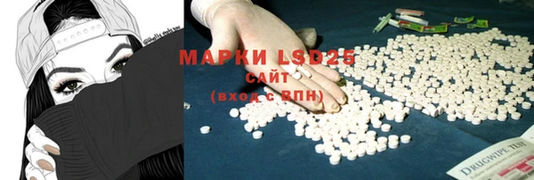 крисы Майский