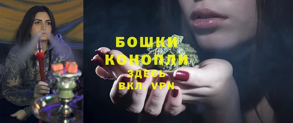 крисы Майский