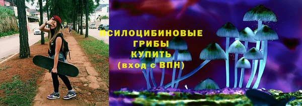 крисы Майский