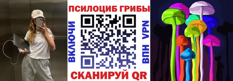 наркота  Монино  Псилоцибиновые грибы мицелий 